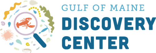 Full Color Primary Logo (2)_0