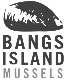 bang-finallogo
