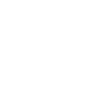 icon-grants@3x.png
